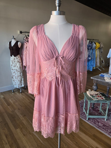 Blush Lace & Mesh Mini Dress