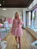 Blush Lace & Mesh Mini Dress